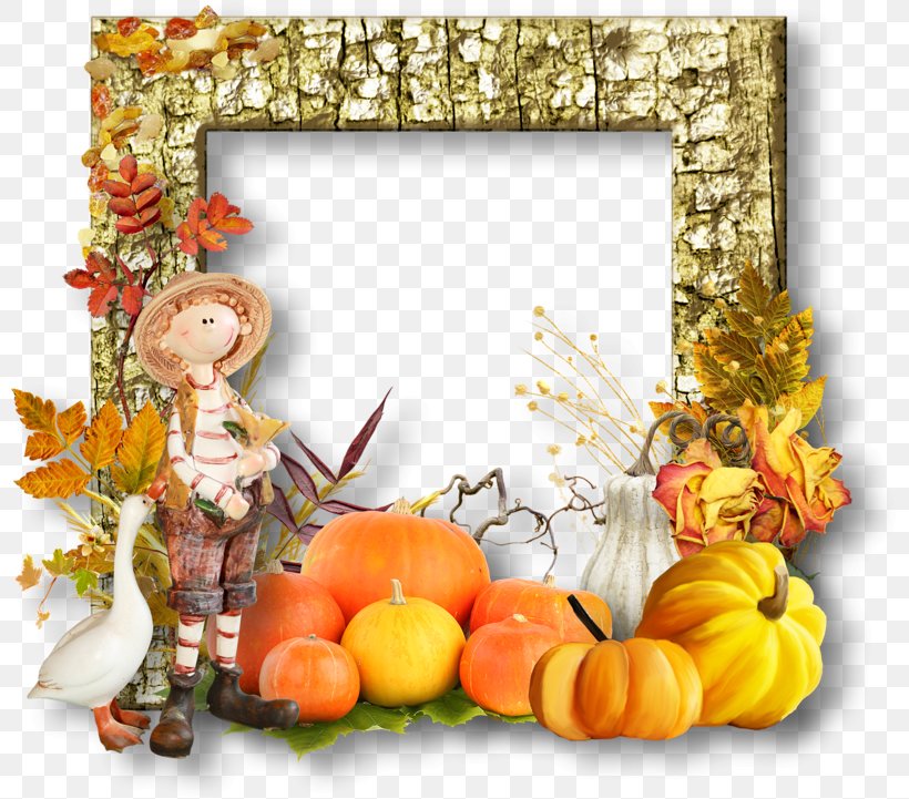 Pumpkin Calabaza Picture Frames, PNG, 800x721px, Pumpkin, Calabaza, Cucurbita, Cut Flowers, Floral Design Download Free