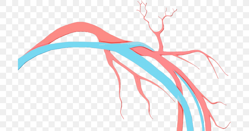 Angiology Vascular Surgery Vein Doppler Ultrasonography Aneurysm, PNG, 701x432px, Watercolor, Aneurysm, Angiology, Doppler Ultrasonography, Medicine Download Free