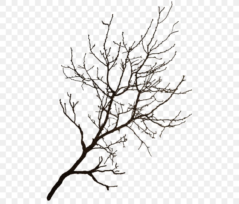 Branch Tree Winter Clip Art, PNG, 539x700px, Branch, Black And White, Data Compression, Flora, Flower Download Free