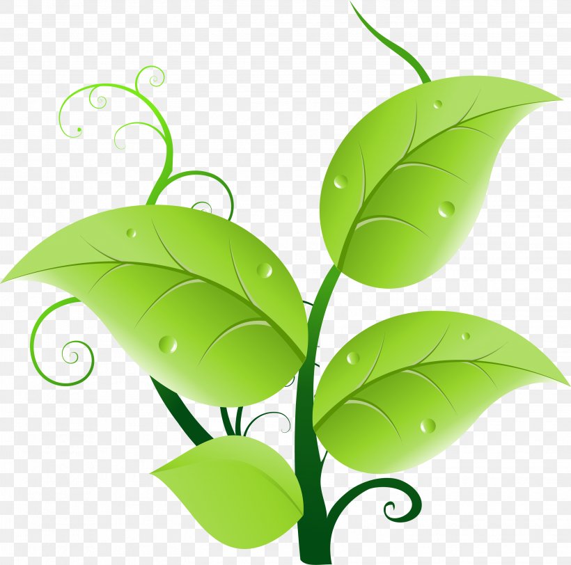 Leaf Green Clip Art, PNG, 3106x3076px, Leaf, Cartoon, Green, Plant, Plant Stem Download Free
