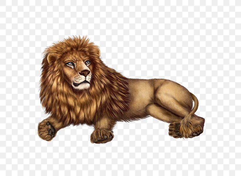 Lion Roar Big Cat Terrestrial Animal, PNG, 600x600px, Lion, Animal, Animal Figure, Big Cat, Big Cats Download Free