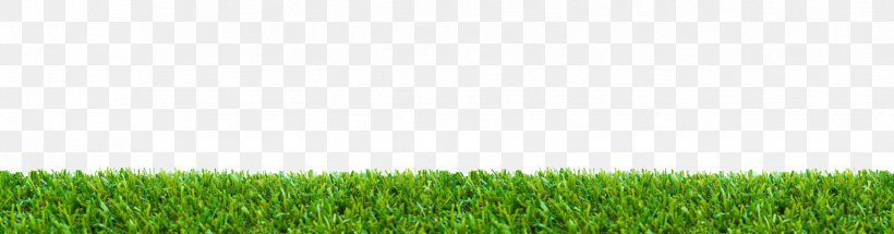 Stock Photography Royalty-free Lawn, PNG, 1648x434px, Stock Photography, Agriculture, Bokeh, Commodity, Crop Download Free