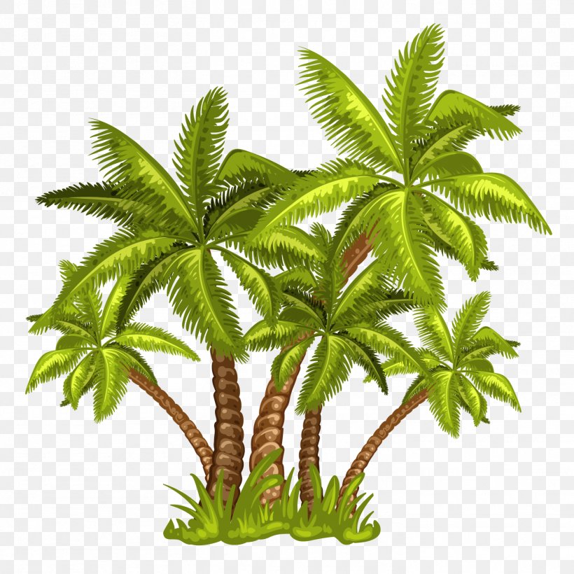 Arecaceae Royalty-free Illustration, PNG, 1461x1461px, Arecaceae, Arecales, Beach, Coconut, Flowerpot Download Free