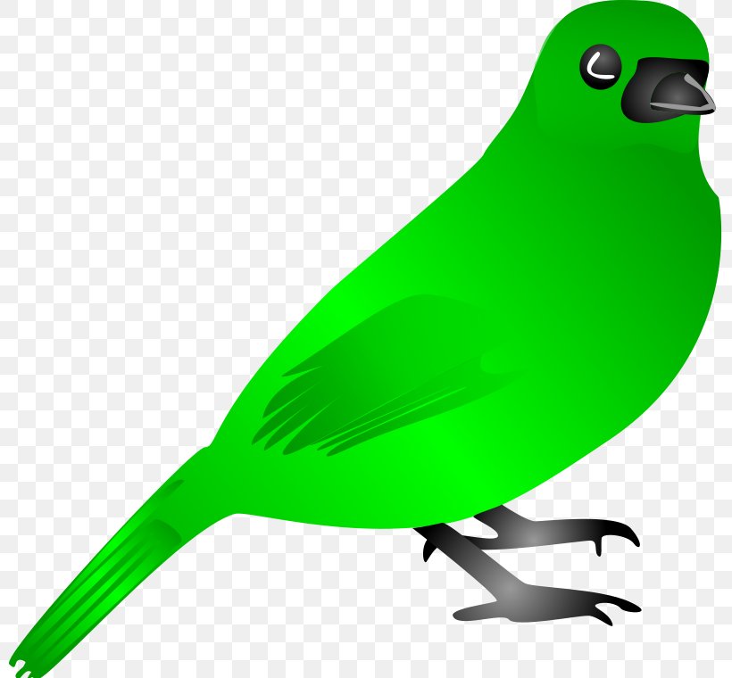 Bird Flight Green Clip Art, PNG, 800x760px, Bird, Beak, Bird Flight, Blog, Fauna Download Free