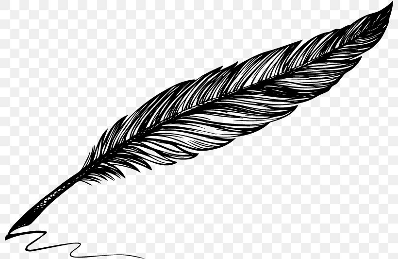 Drawing Quill Vector Graphics Pen Illustration, PNG, 800x533px, Drawing, Blackandwhite, Fashion Accessory, Feather, Fountain Pen Download Free