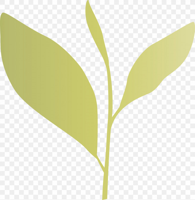Leaf Plant Flower Tree Plant Stem, PNG, 2919x3000px, Tea Leaves, Eucalyptus, Flower, Laurel Family, Leaf Download Free