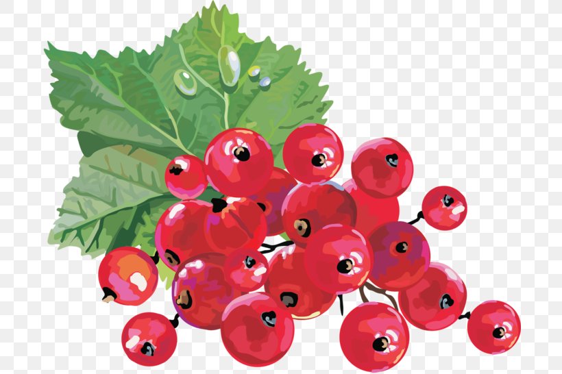 Redcurrant Blackcurrant Juice White Currant Zante Currant, PNG, 700x546px, Redcurrant, Accessory Fruit, Berries, Berry, Bilberry Download Free