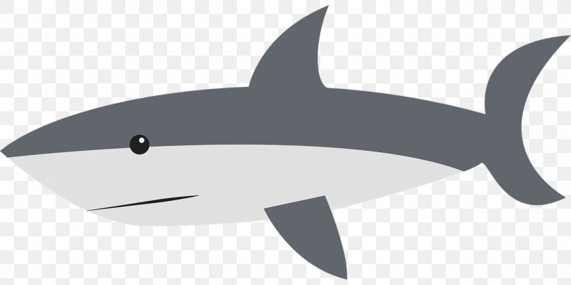 Shark Jaws Tiger Shark Drawing Clip Art, PNG, 1280x640px, Shark Jaws, Angelshark, Cartilaginous Fish, Cartoon, Dolphin Download Free