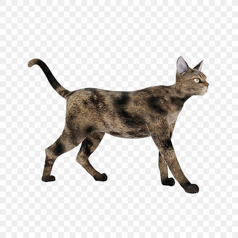 Cat 3D Modeling 3D Computer Graphics Autodesk 3ds Max Texture Mapping, PNG, 2953x2953px, 3d Computer Graphics, 3d Modeling, Cat, Animal, Animals United Download Free