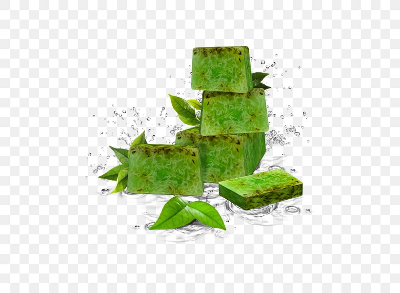 Green Tea Soap Aloe Vera Oil Extract, PNG, 470x600px, Green Tea, Aloe Vera, Aloes, Bergamot Orange, Cosmetics Download Free