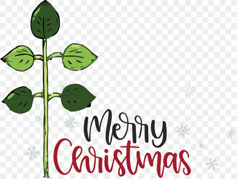 Merry Christmas, PNG, 3000x2271px, Merry Christmas, Flower, Green, Leaf, Logo Download Free