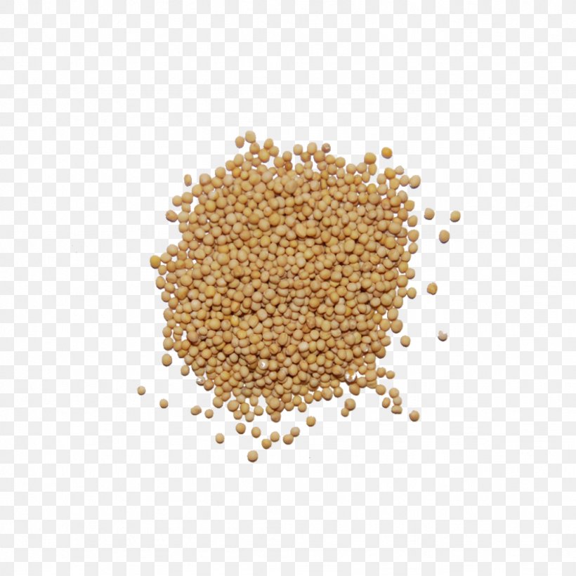 Mustard Seed Spice Seasoning Food, PNG, 1024x1024px, Seed, Cereal, Cereal Germ, Chili Pepper, Commodity Download Free