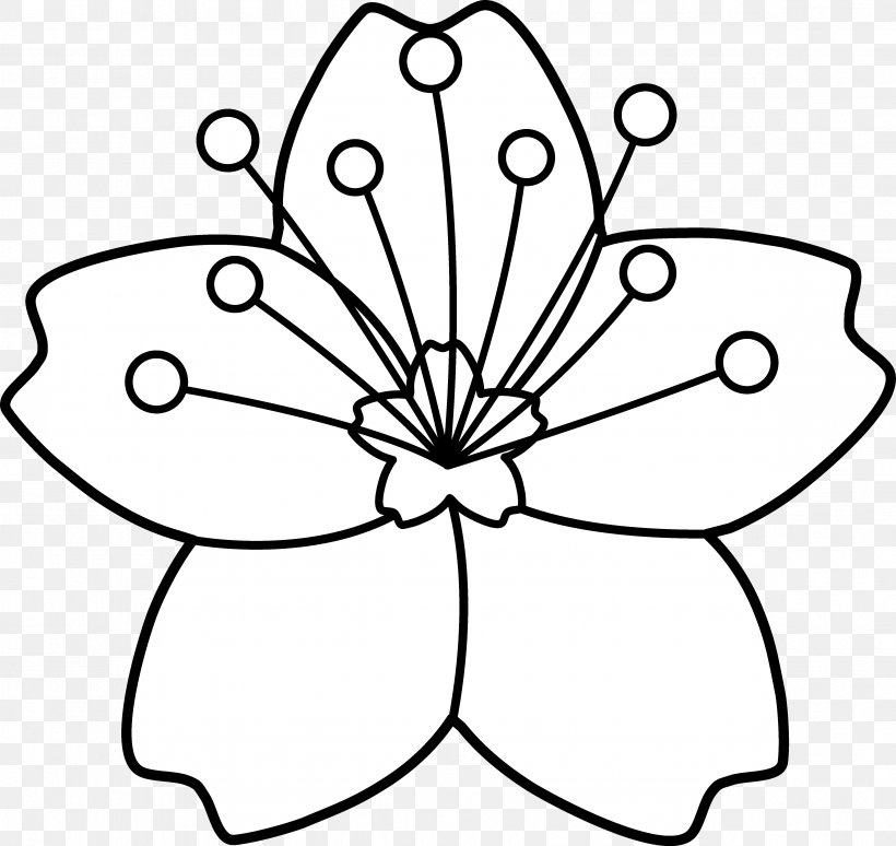 Cherry Blossom Coloring Book Flower Clip Art, PNG, 4724x4459px, Cherry Blossom, Area, Artwork, Black And White, Blossom Download Free