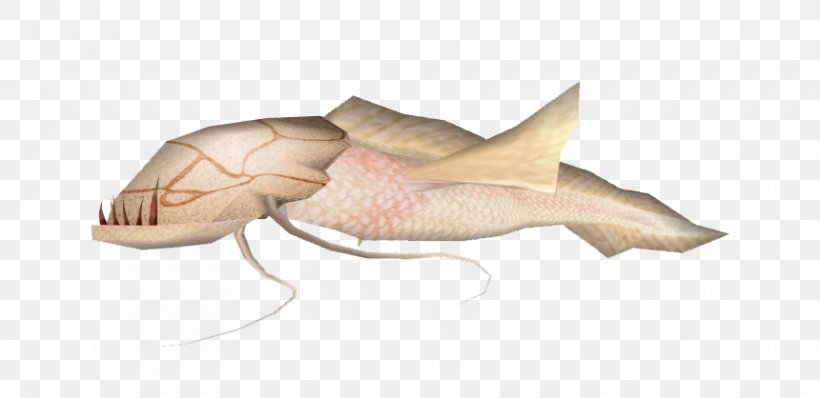 Jaw Invertebrate Fish, PNG, 860x418px, Jaw, Fish, Invertebrate, Organism Download Free