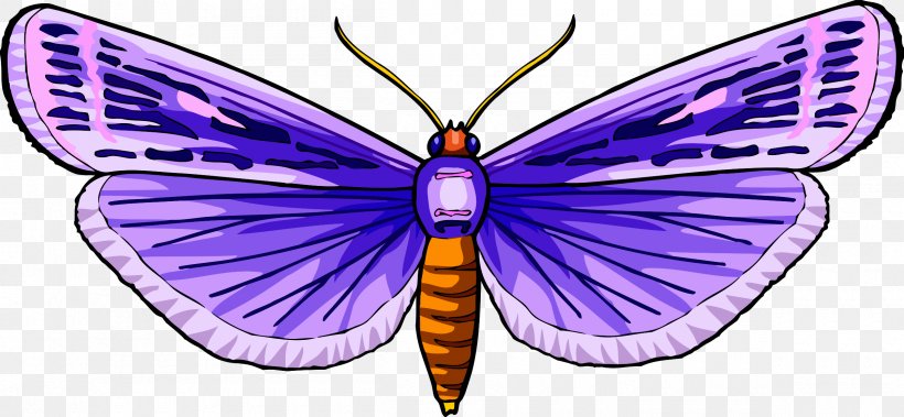 Butterfly Clip Art, PNG, 2400x1110px, Butterfly, Arthropod, Brush Footed Butterfly, Butterflies And Moths, Insect Download Free
