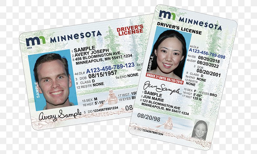 Minnesota Driver's License Driving Identity Document, PNG, 715x492px, Minnesota, Driving, Graduated Driver Licensing, Identity Document, License Download Free