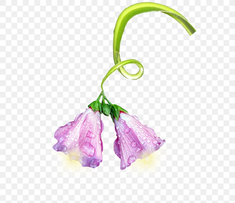 Petal Flower Plant Wisteria Lavender, PNG, 600x708px, Petal, Body Jewelry, Cut Flowers, Flora, Floral Design Download Free