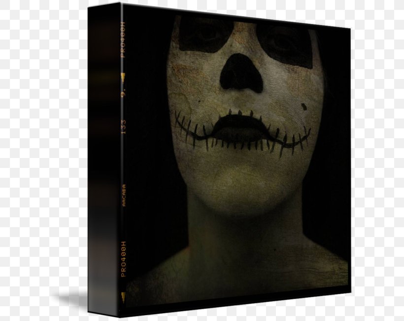 Skull, PNG, 623x650px, Skull, Bone, Jaw Download Free