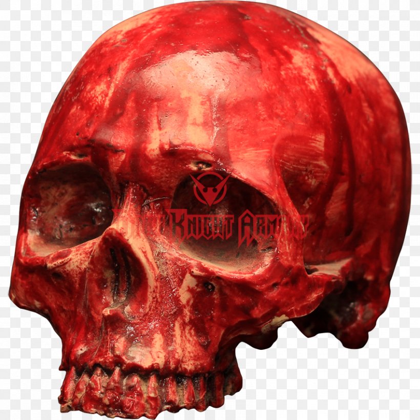 Skull Resin Bone Skeleton Blood, PNG, 850x850px, Skull, Anatomy, Blood, Bone, Halloween Download Free