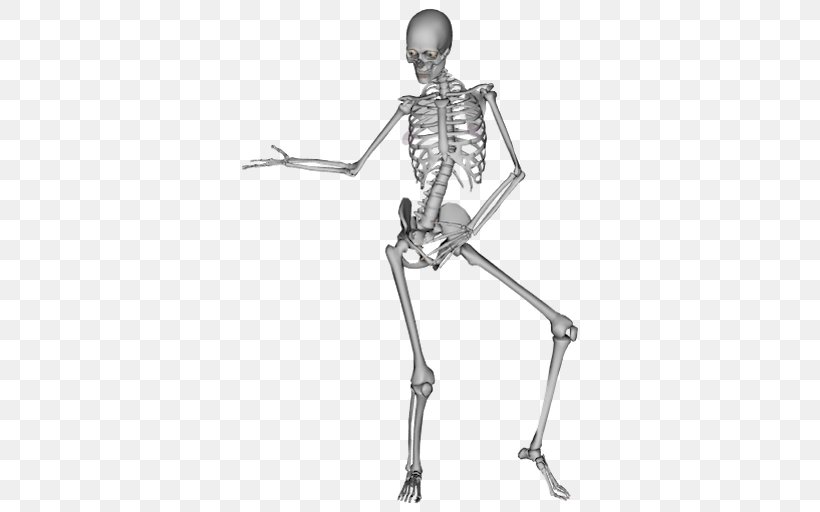 The Human Skeleton Dance Bone, PNG, 512x512px, Human Skeleton, Anatomy, Arm, Black And White, Bone Download Free