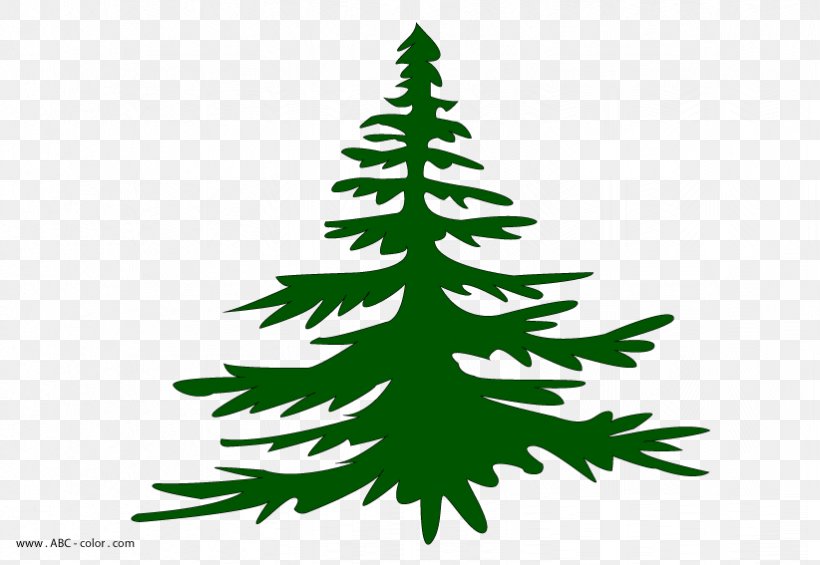 Christmas Tree Spruce Fir Christmas Ornament Pine, PNG, 822x567px, Christmas Tree, Album, Branch, Branching, Christmas Download Free