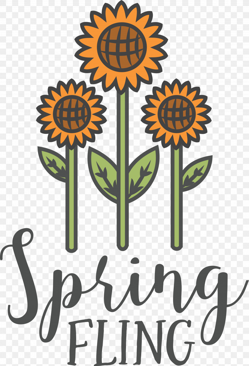 Daddy Daughter Spring Fling Cricut Daddy Daughter Spring Fling Daddy Daughter Spring Fling Cut Flowers, PNG, 4070x5990px, Cricut, Cut Flowers, Daisy Family, Flower, Logo Download Free