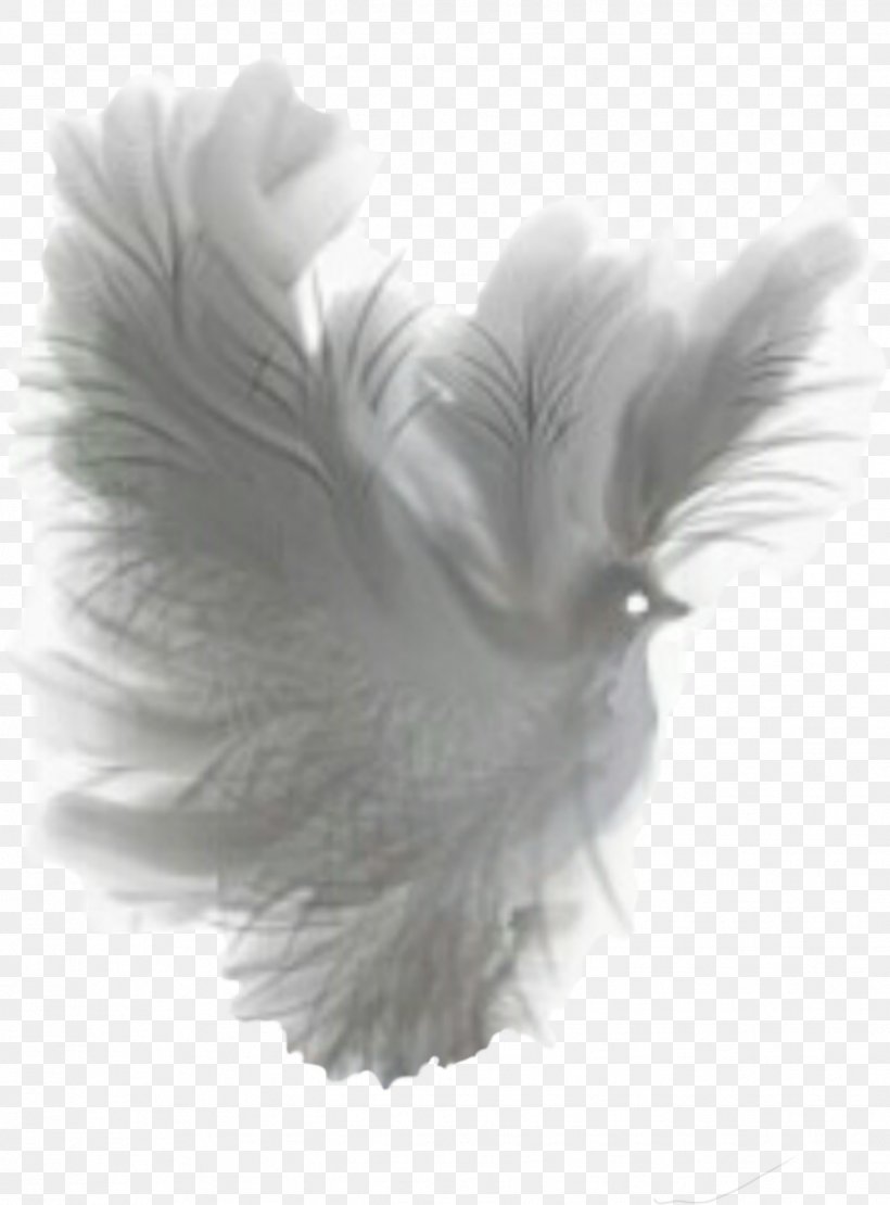 Art Clip Art, PNG, 1342x1817px, Art, Black And White, Color, Drawing, Feather Download Free