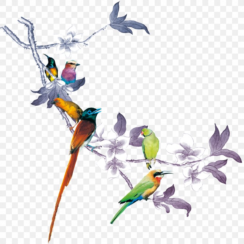 Bird Image Clip Art Photograph, PNG, 1024x1024px, Bird, Art, Beak, Branch, Common Pet Parakeet Download Free