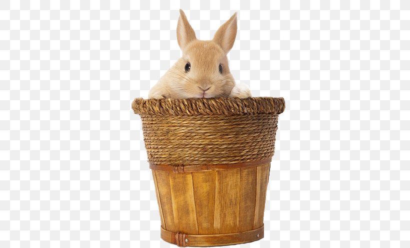 Domestic Rabbit Easter Bunny, PNG, 324x495px, Domestic Rabbit, Animal, Basket, Basketball, Easter Download Free