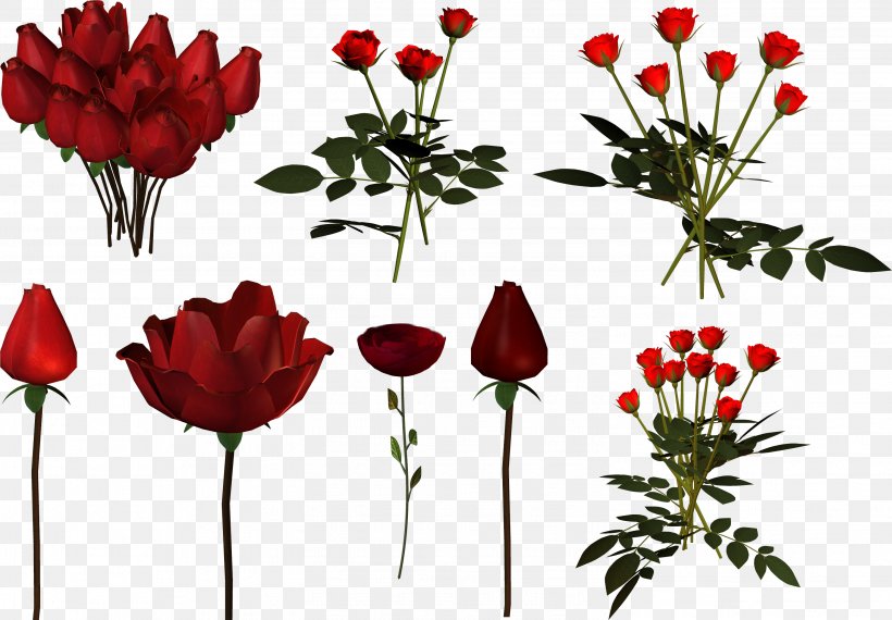 Garden Roses Tulip Cut Flowers Floral Design, PNG, 2996x2086px, Garden Roses, Anemone, Basket, Cut Flowers, Flora Download Free