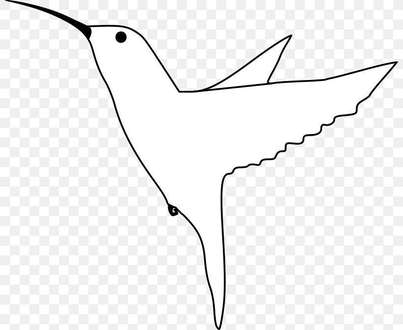 Hummingbird Drawing Clip Art, PNG, 800x672px, Bird, Animal, Area, Art, Artwork Download Free