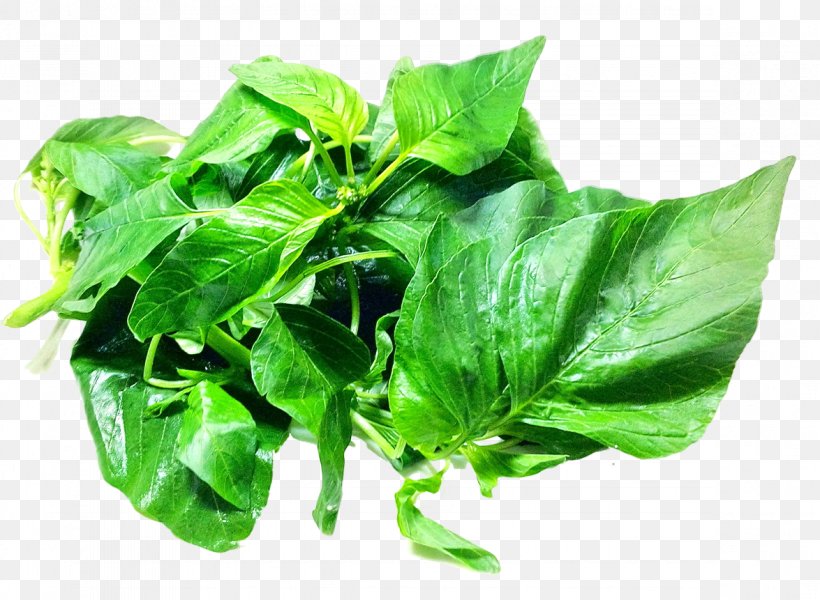 Spinach Amaranth Leaf, PNG, 1175x861px, Leaf, Amaranth, Basil, Biological Pigment, Chard Download Free