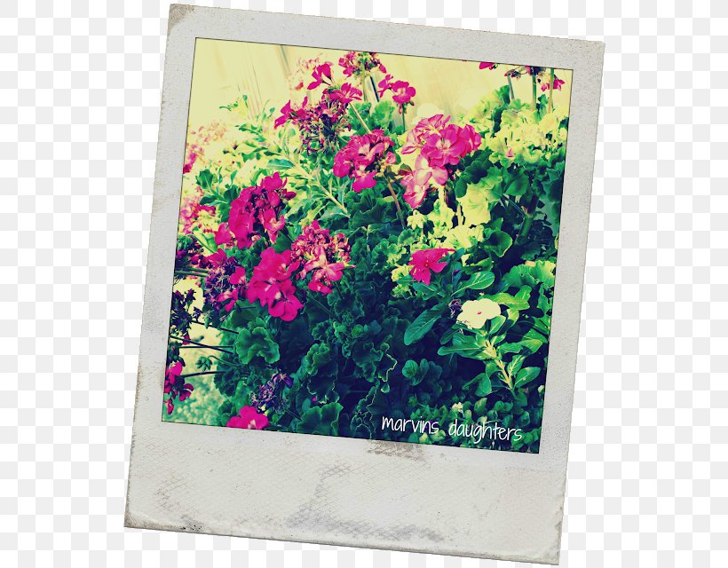 Floral Design Window Box Flower, PNG, 548x640px, Floral Design, Annual Plant, Art, Box, Flora Download Free
