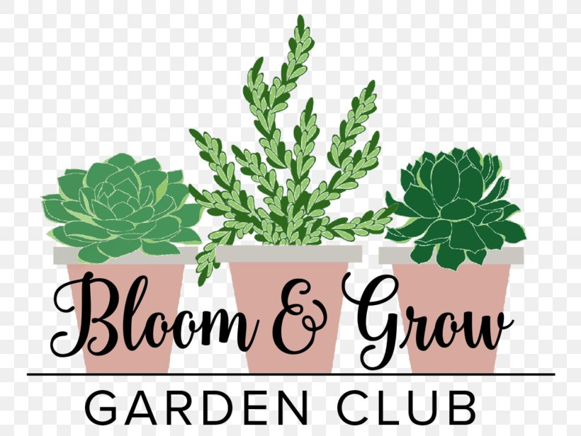 Houseplant Podcast Leaf Radio Garden, PNG, 800x616px, Houseplant, Episode, Fiddleleaf Fig, Flower, Flowering Plant Download Free