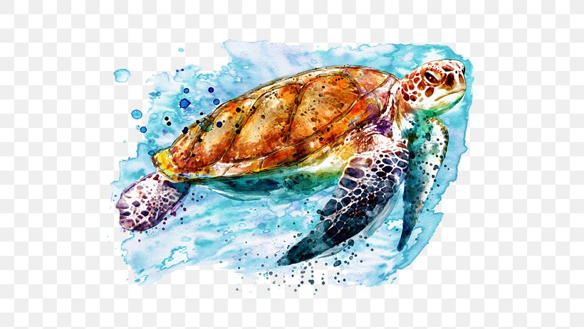 Loggerhead Sea Turtle Mixed Media Art Watercolor Painting, PNG, 600x463px, Loggerhead Sea Turtle, Art, Artist, Digital Art, Fine Art Download Free