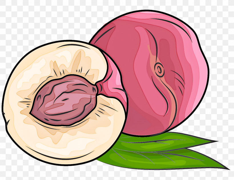 Pink Cheek Plant Vegetable Onion, PNG, 1280x985px, Pink, Allium, Cheek, Onion, Plant Download Free
