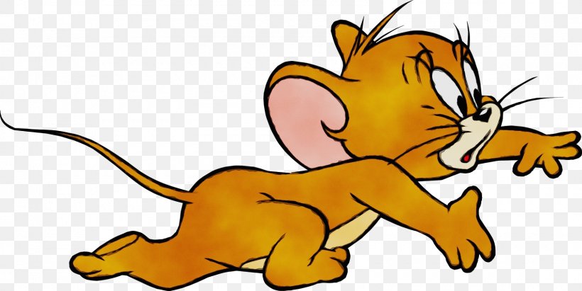 Tom Cat Jerry Mouse Tom And Jerry Nibbles, PNG, 1600x802px, Tom Cat, Animal Figure, Animated Cartoon, Animated Series, Animation Download Free