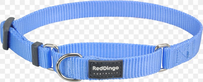 Dog Collar Dingo Martingale, PNG, 3000x1224px, Dog, Blue, Collar, Color, Dingo Download Free