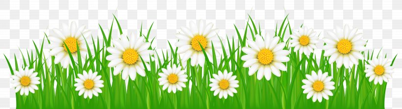Flower Clip Art, PNG, 8000x2183px, Flower, Blog, Commodity, Computer, Field Download Free