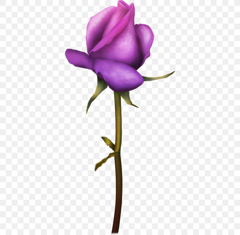 Lily Flower Cartoon, PNG, 378x800px, Garden Roses, Artificial Flower, Bud, Cut Flowers, Floral Design Download Free