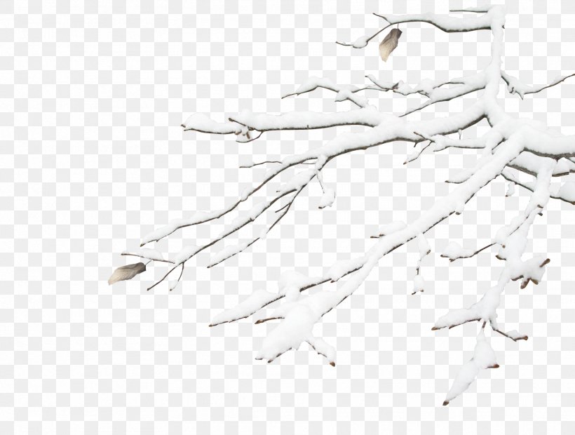 Snowflake Winter, PNG, 1817x1374px, Snow, Black And White, Branch, Concepteur, Designer Download Free