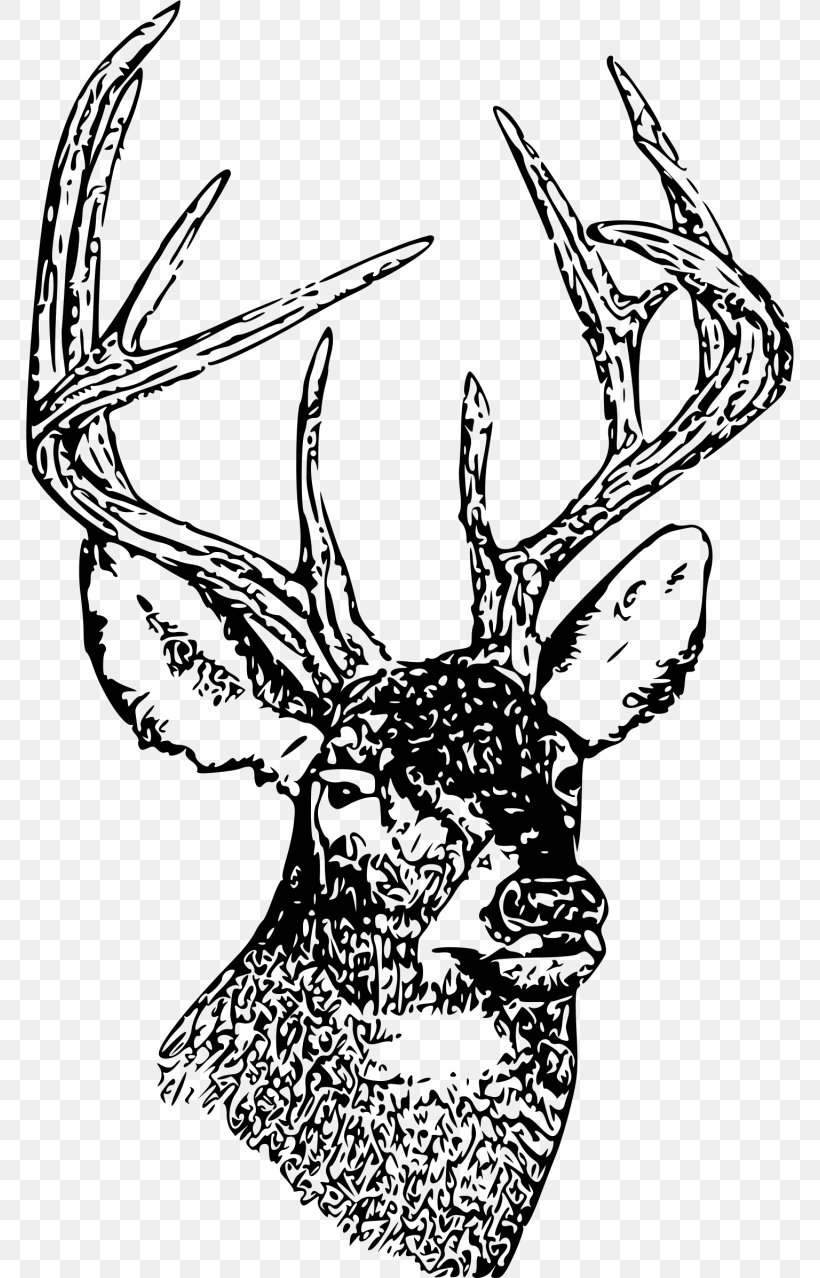 White-tailed Deer Drawing Clip Art, PNG, 768x1278px, Whitetailed Deer, Antler, Art, Artwork, Black And White Download Free