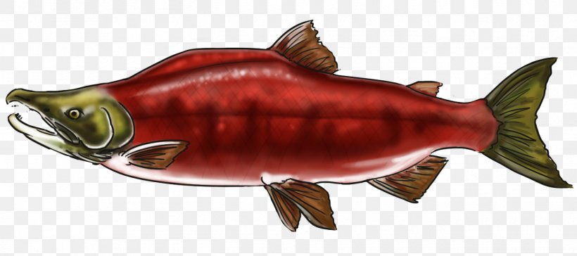 Coho Salmon Fish Products Oily Fish 09777, PNG, 1350x600px, Coho Salmon, Animal, Animal Figure, Bony Fish, Coho Download Free