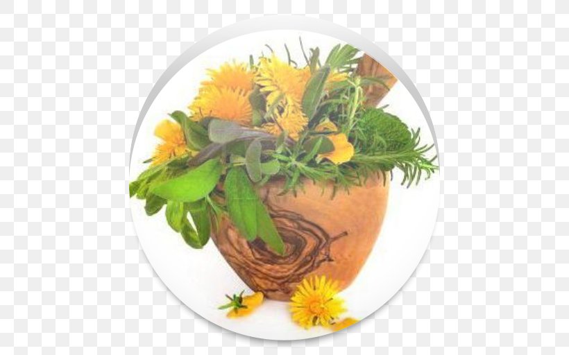 Common Dandelion Medicinal Plants Herb Pharmaceutical Drug Therapy, PNG, 512x512px, Common Dandelion, Cut Flowers, Dandelion, Disease, Essential Oil Download Free