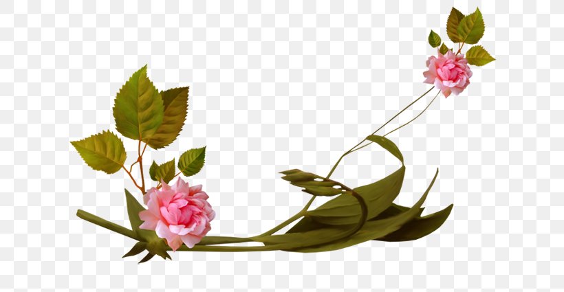 Flower Garden Roses Floral Design Clip Art, PNG, 650x425px, Flower, Branch, Bud, Cut Flowers, Flora Download Free