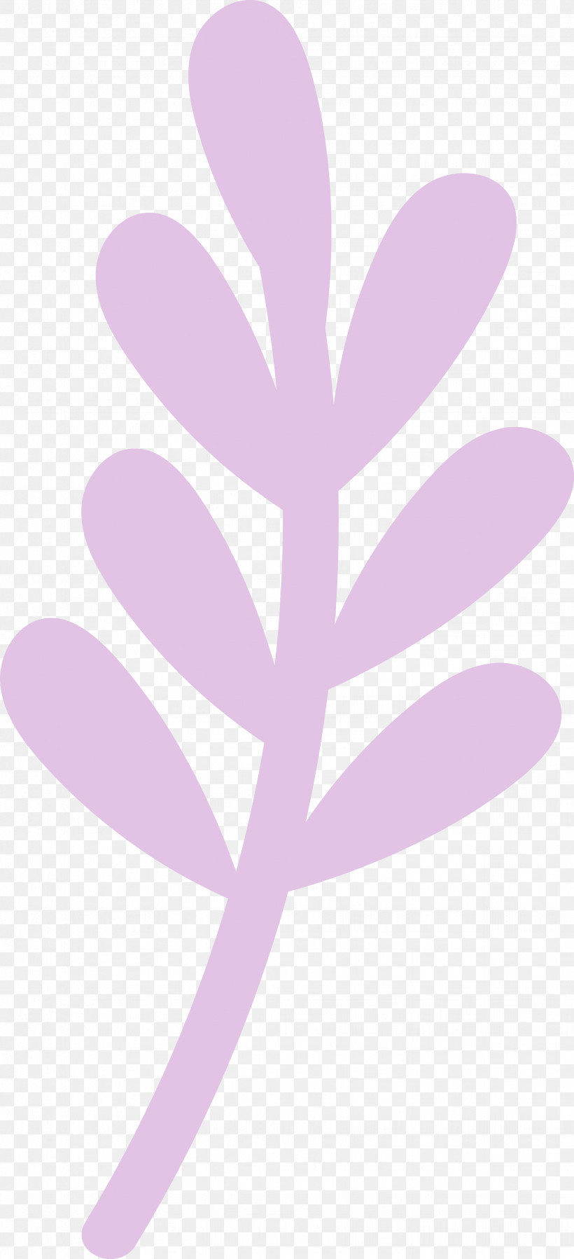 Leaf Petal Twig Meter, PNG, 1843x4042px, Leaf, Branch, Branch Flower, Computer, Line Download Free