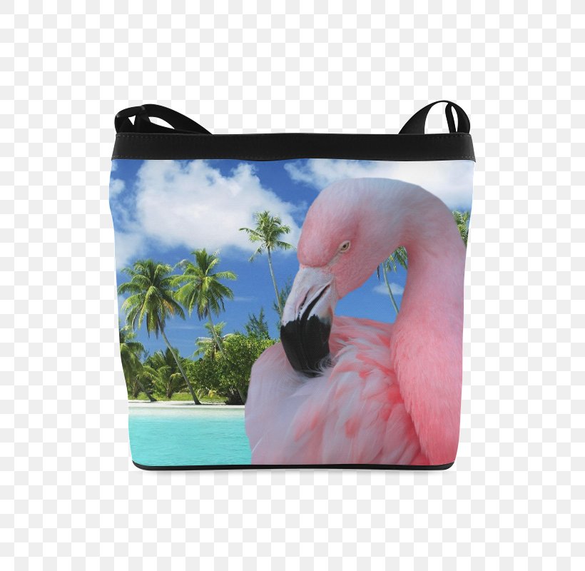 Bird Greater Flamingo Flamingos Bathroom Blanket, PNG, 800x800px, Bird, Bathing, Bathroom, Beach, Blanket Download Free