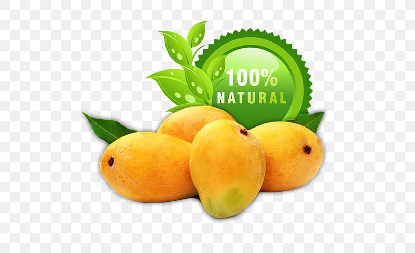 Ratnagiri Devgad Taluka Alphonso Sindhudurg District Mango, PNG, 500x500px, Ratnagiri, Alphonso, Citric Acid, Citrus, Cultivar Download Free