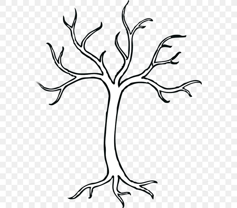 Tree Drawing Clip Art, PNG, 576x720px, Tree, Artwork, Black And White, Branch, Drawing Download Free