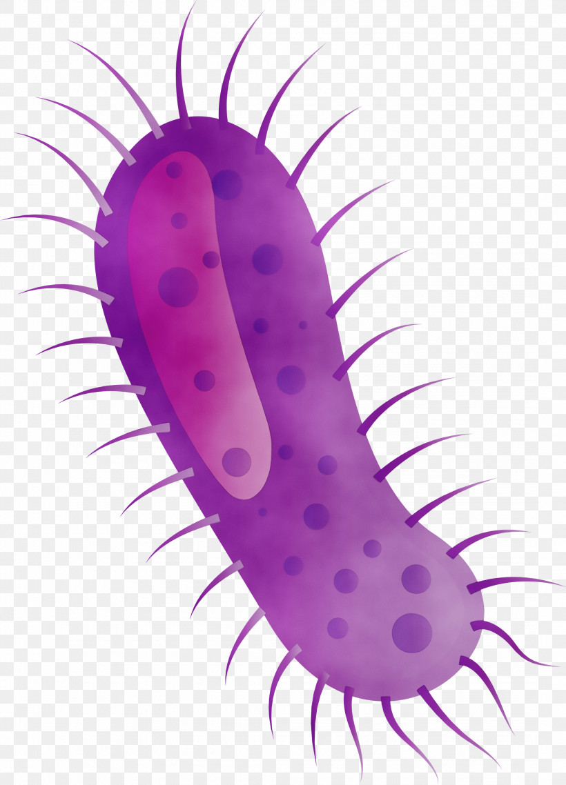 Worm, PNG, 2160x3000px, Coronavirus, Corona, Covid, Paint, Virus Download Free